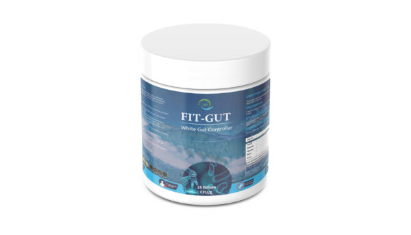 FIT-GUT