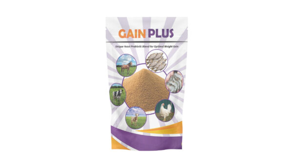 GAIN PLUS