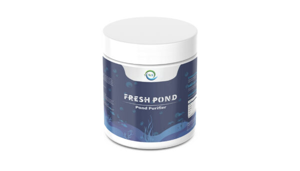 FRESH POND