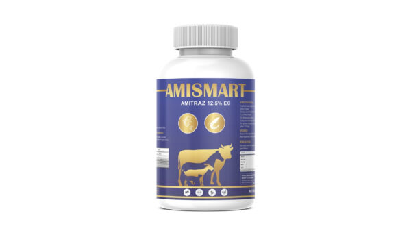 AMISMART