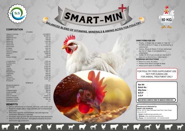 SMART-MIN PLUS